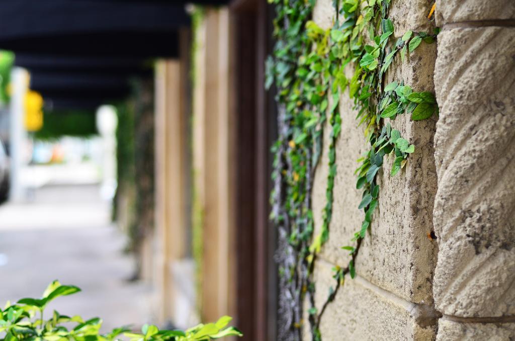 Hotel St. Michel Coral Gables Exterior foto